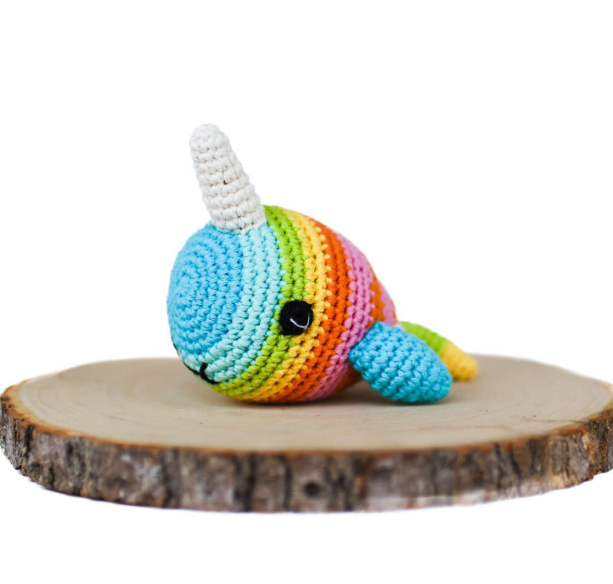 Jonas the Narwhal
