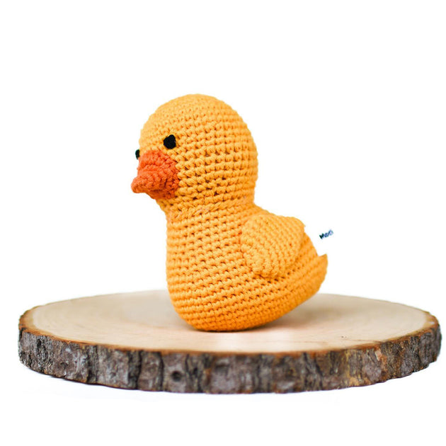 Divo the Duck