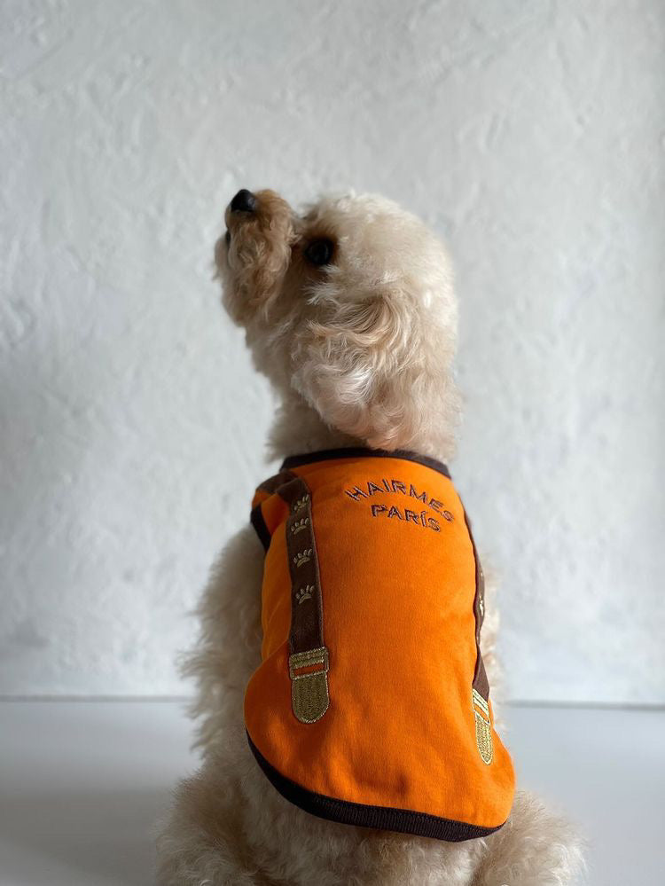 SS430 Hairmes Suspenders Paws & Tangerine on Off White