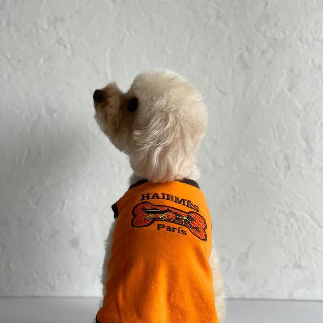 BN440 Hairmes Bone Dog Carriage on Tangerine