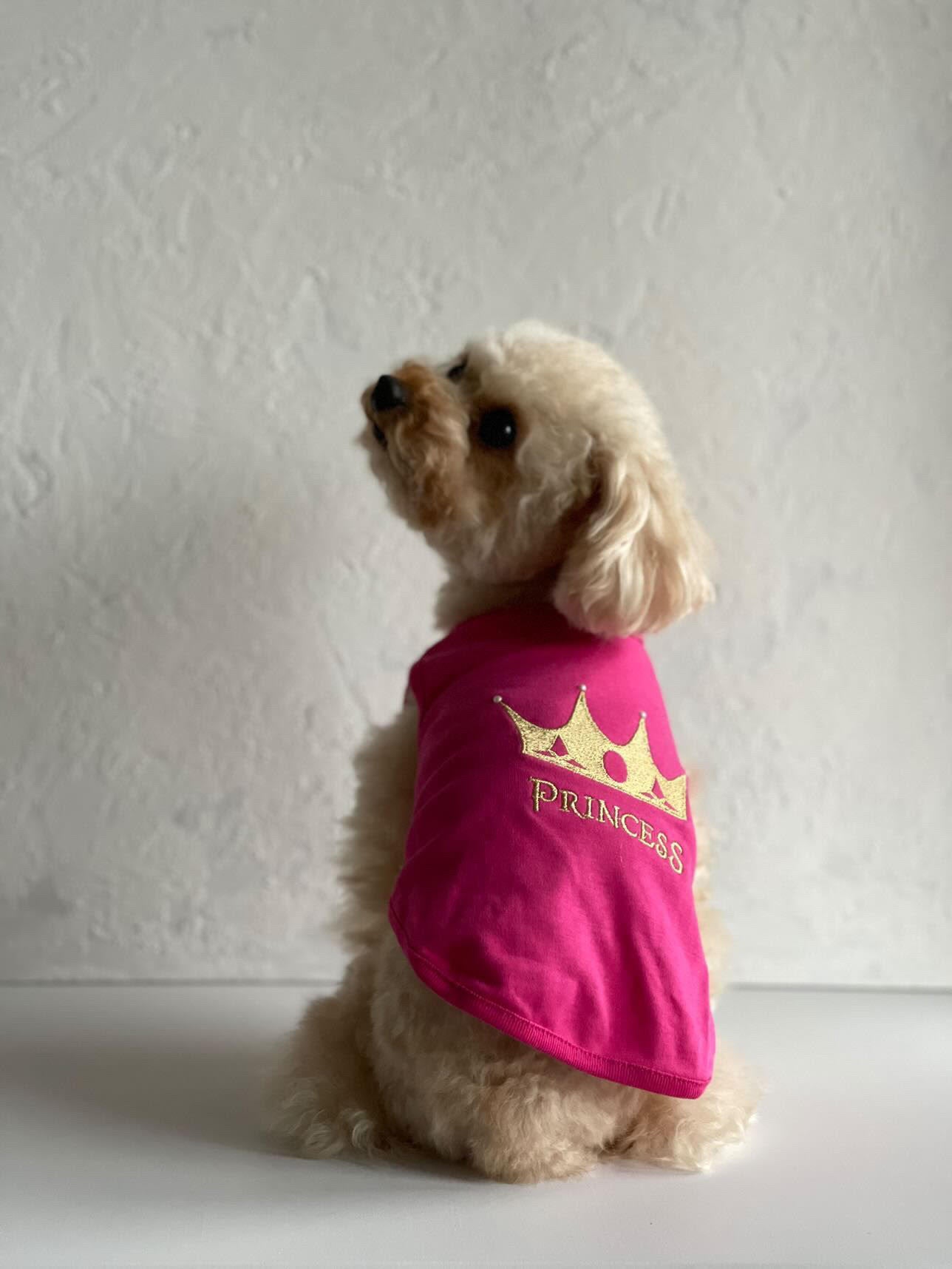 GC855 Princess Crown Gold on Hot Pink